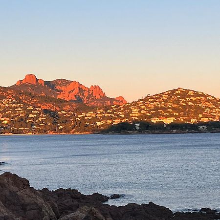 Studio Climatise Vue Mer A Proximite De La Plage Saint-Raphaël 外观 照片