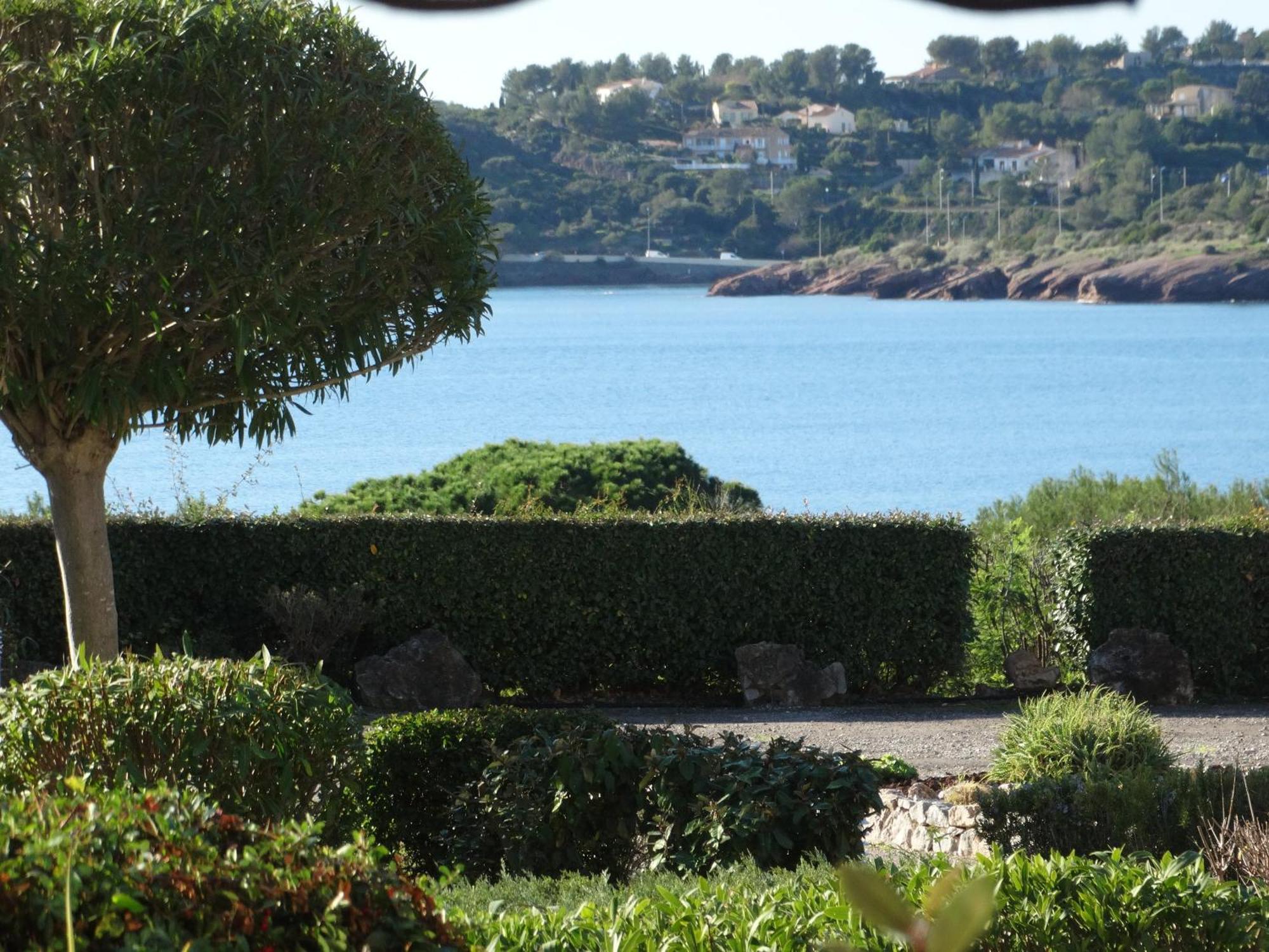 Studio Climatise Vue Mer A Proximite De La Plage Saint-Raphaël 外观 照片